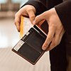 Travel Wallet